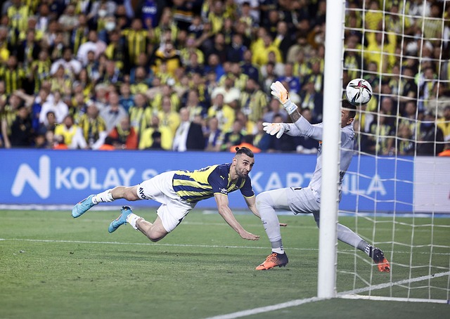 一直在寻求 一直在寻求