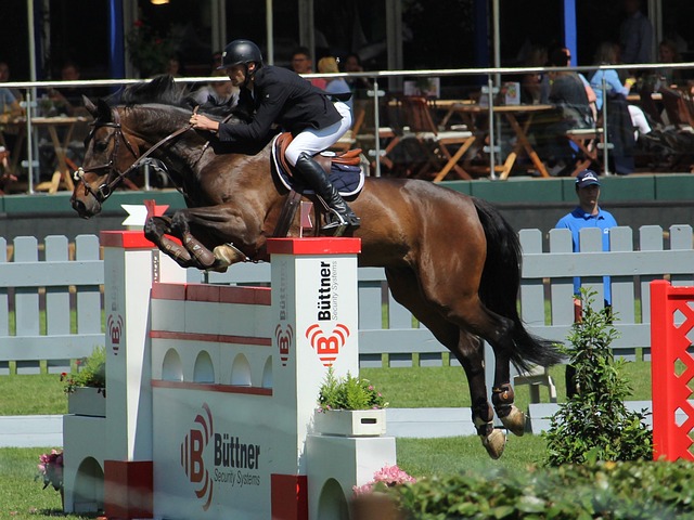 的出色表现 的出色表现