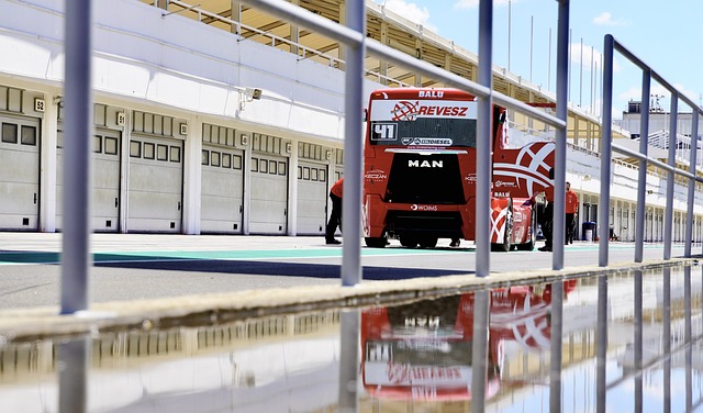 他们应有的 他们应有的